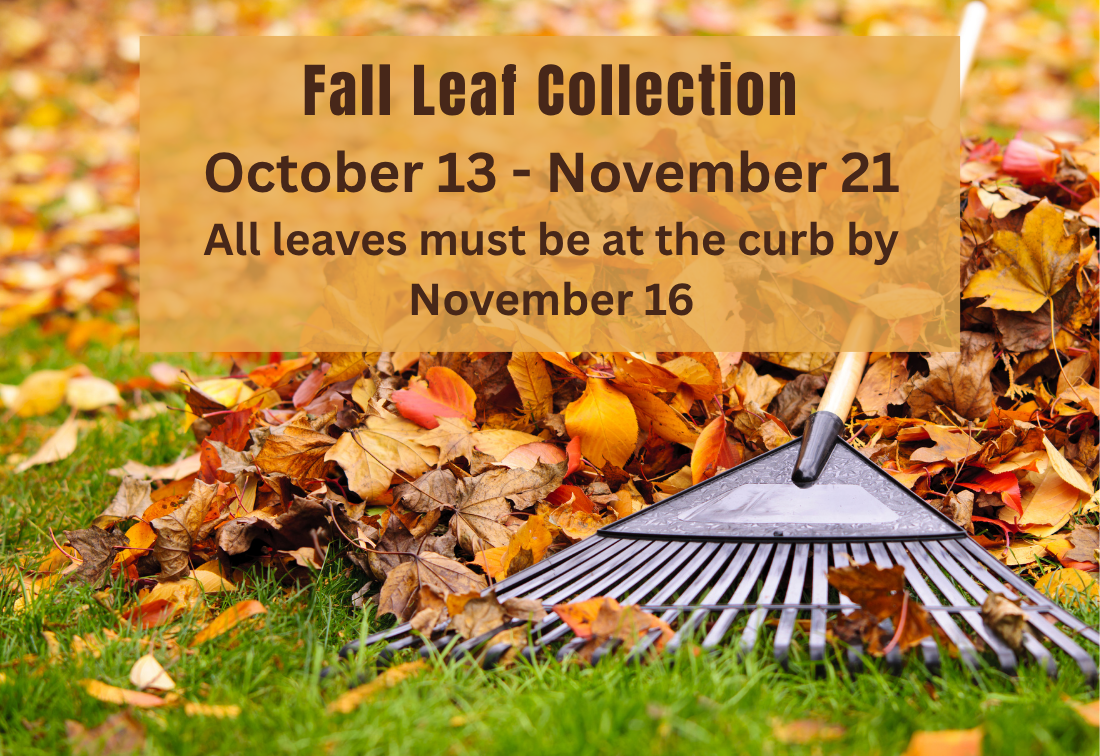 Fall Leaf Collection October 13 - November 16