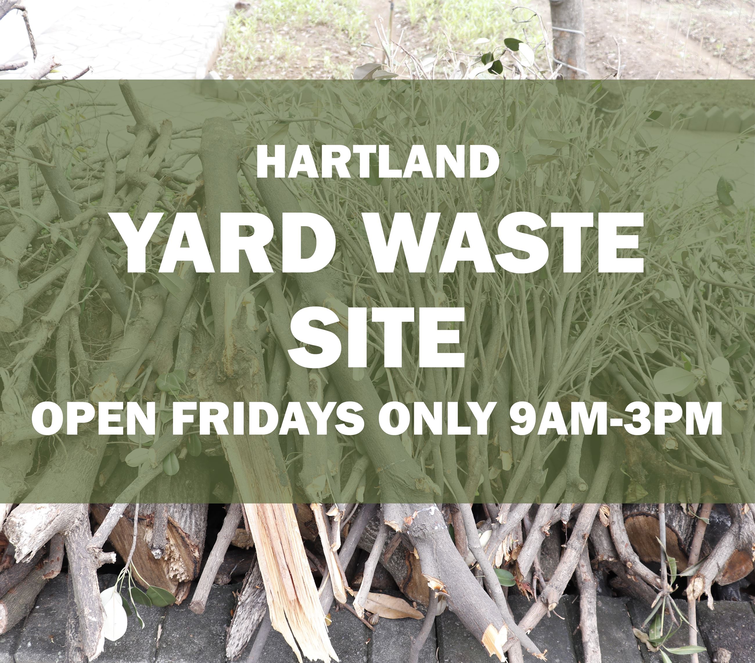 Yard Waste Newsflash